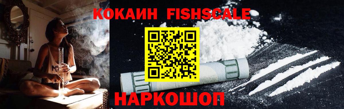 COCAIN Columbia Геленджик
