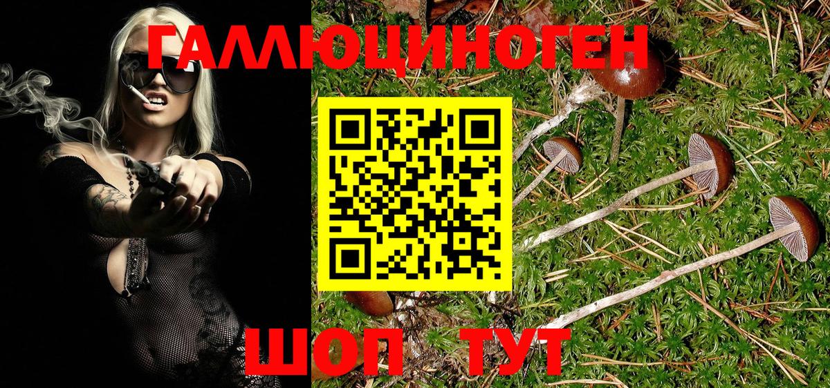 Геленджик  Галлюциногенные грибы Psilocybe  Вход с VPN 